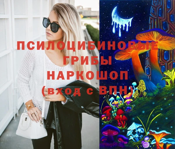 ПСИЛОЦИБИНОВЫЕ ГРИБЫ Пересвет