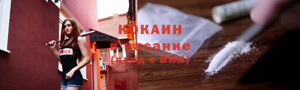 гашик Пестово