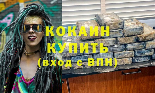 гашик Пестово