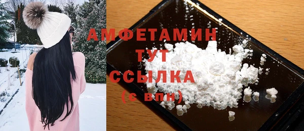 гашик Пестово