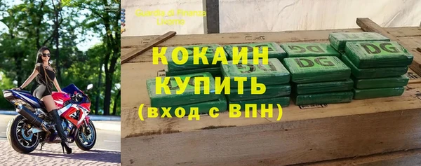 гашик Пестово
