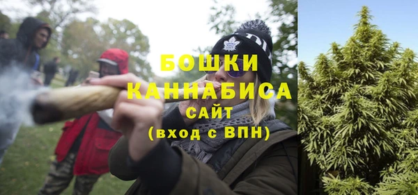ПСИЛОЦИБИНОВЫЕ ГРИБЫ Пересвет