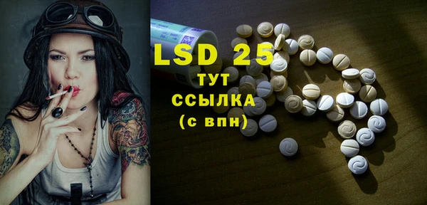 ПСИЛОЦИБИНОВЫЕ ГРИБЫ Пересвет