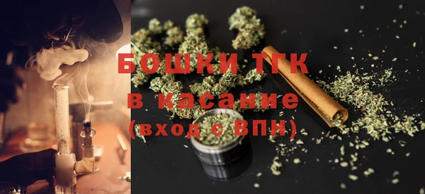 ПСИЛОЦИБИНОВЫЕ ГРИБЫ Пересвет