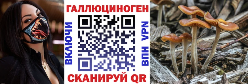 Галлюциногенные грибы Magic Shrooms  Лянтор 