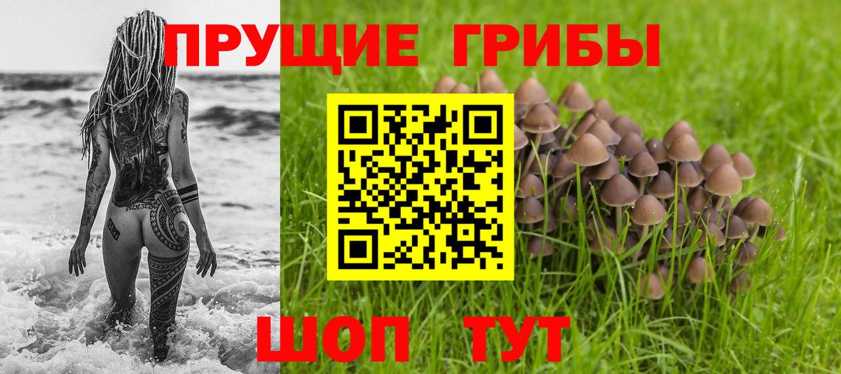 Псилоцибиновые грибы мухоморы Лянтор