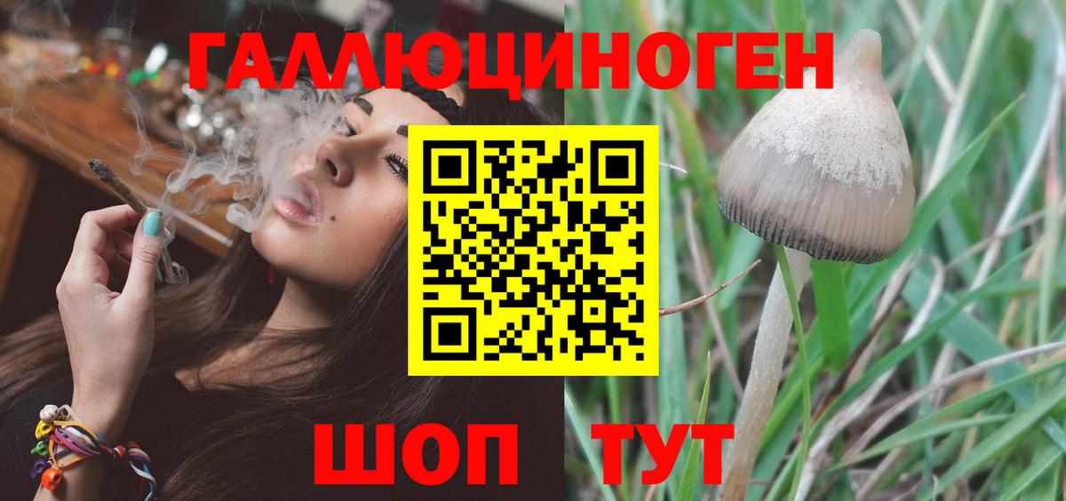 Псилоцибиновые грибы Psilocybe  Псилоцибиновые грибы прущие грибы  Вход с VPN  закладки  Лянтор 